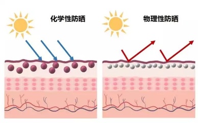 物理防曬 vs 化學防曬 如何做出明智選擇？全面解析防曬技巧